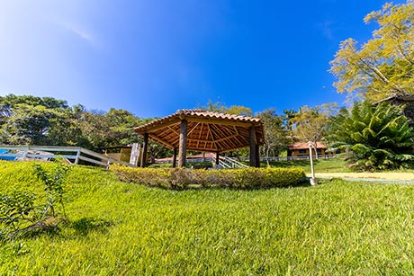 Natureza & Contemplação — imagem 9