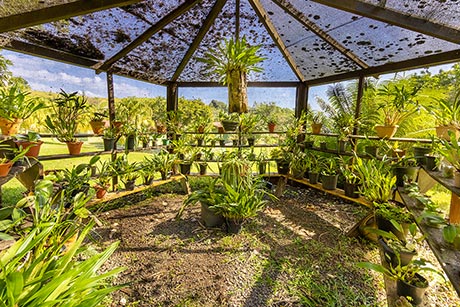 Natureza & Contemplação — imagem 10